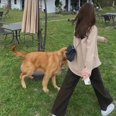 晓波会客厅